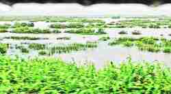 जिल्ह्यात पुन्हा धुवांधार; नद्या, नाले ओसंडले, महामार्गावर वाहतूक कोंडीने चालक, प्रवासी त्रस्त