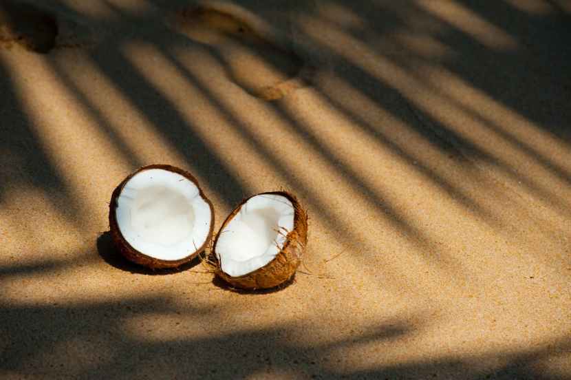 coconut 