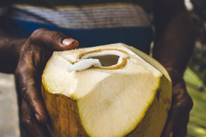 coconut 