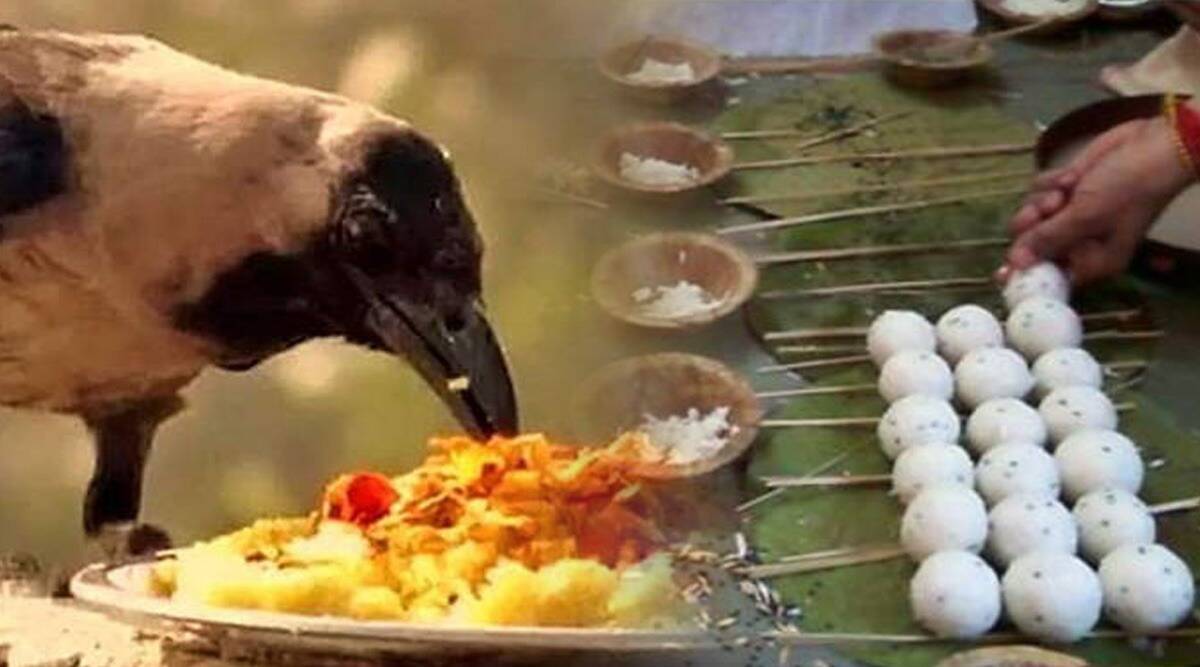 Pitru Paksha 2022