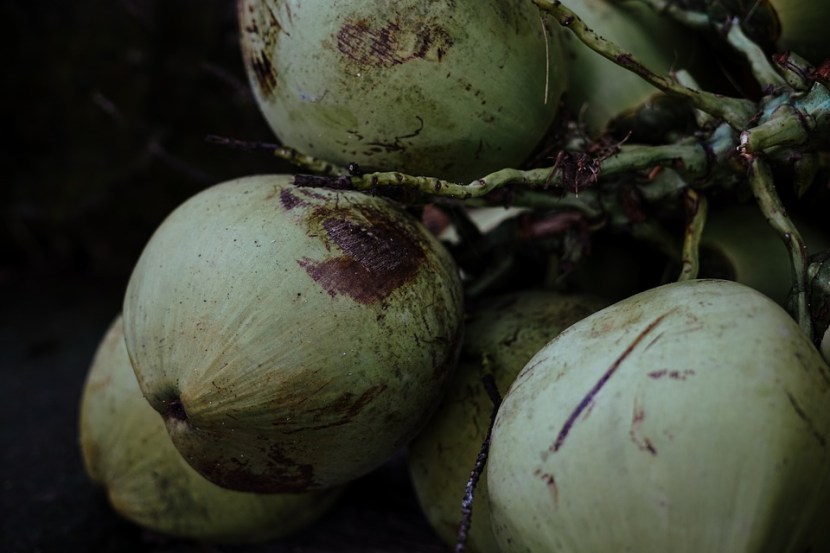 coconut 