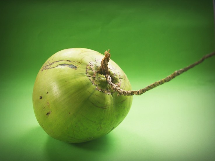 coconut 