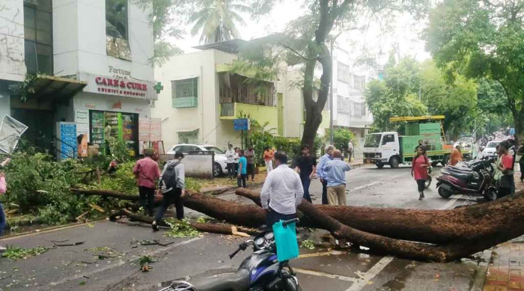 झाडे पडण्याच्या घटनांमुळे वाहतूक विस्कळीत झाली