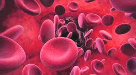 sickle cell patients