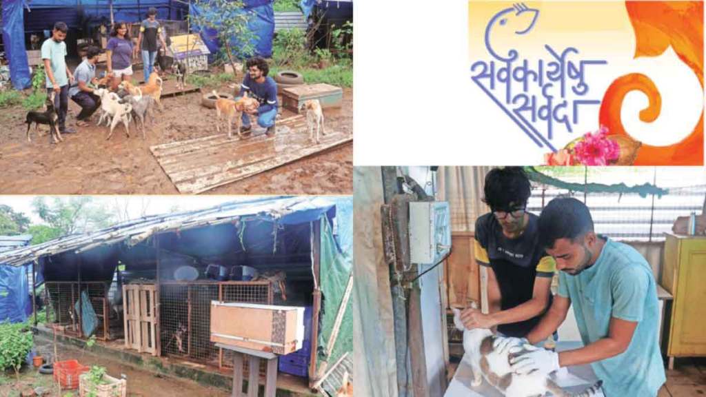 CITIZENS FOR ANIMAL PROTECTION FOUNDATION