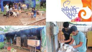 CITIZENS FOR ANIMAL PROTECTION FOUNDATION