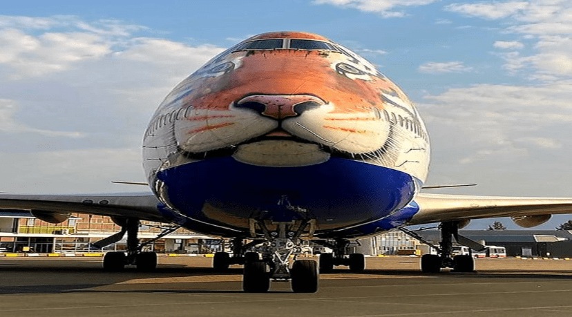 plane that brought cheetah to india