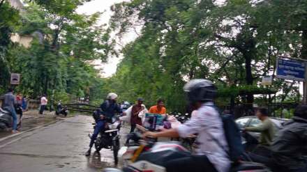 झाडांच्या फांद्या रस्त्यात पडल्याने वाहतूक विस्कळीत झाली