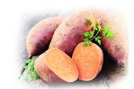 Vitamin B7 Rich Food