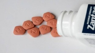 zantac medicine