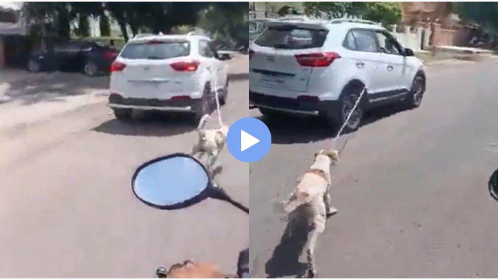 driver tied dog to speeding car Video Viral