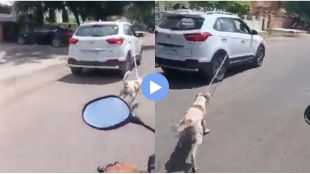 driver tied dog to speeding car Video Viral