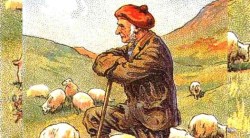 Optical Illusion: फोटोमध्ये लपलेल्या कुत्र्याला तुम्ही शोधू शकता का? ९९% लोक ठरलेत अयशस्वी