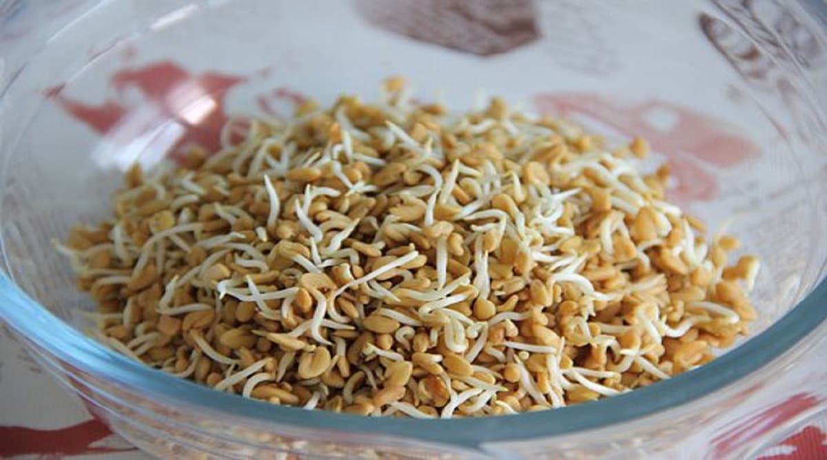 मेथीचे पाणी प्या. यामुळे वजन कमी होण्यास मदत होईल.