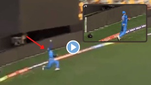 T 20 World Cup Virat Kohli Viral Video Catch Mohammad Shami Last Wicket Against Australia