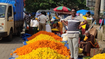 Dussehra festival mahatma phule Retail market price of zendu flowers 120 to 150 per kg panvel Dussehra festival mahatma phule Retail market price of zendu flowers 120 to 150 per kg panvel