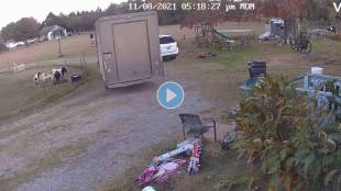 Goat-Viral-Video