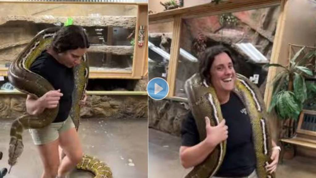 Python-On-Shoulder