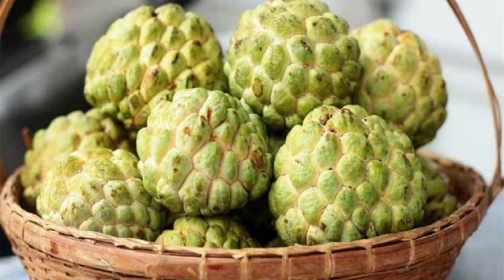 Custard apple benefits