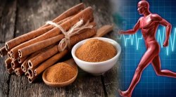 Cinnamon Benefits: हिवाळ्यात दालचिनीचे सेवन केल्यास ‘हे’ १० आजार होतील दूर; जाणून घ्या यादी
