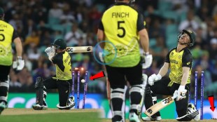 T20 world cup Aus vs NZ David Warner