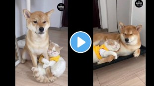 This viral video of cat and dog cuddling each other will melt your heart netizens comment they are setting Bff goals