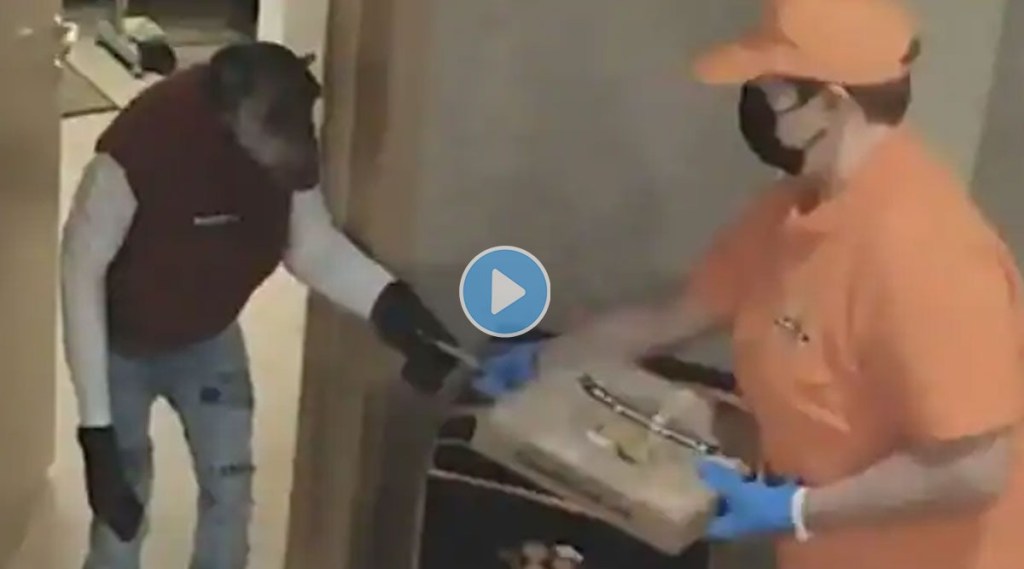 Chimpanzee taking delivery of pizza in Russia video
