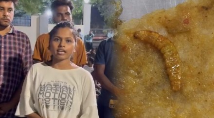 wardha Hindi University wardha Hindi University