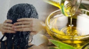 best oils for body