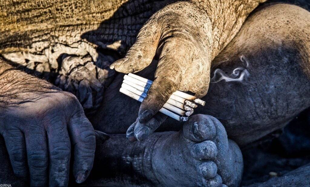 Worlds Dirtiest Man Amou Haji Dies Months After His First Bath In Decades