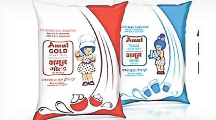 amul milk amul milk
