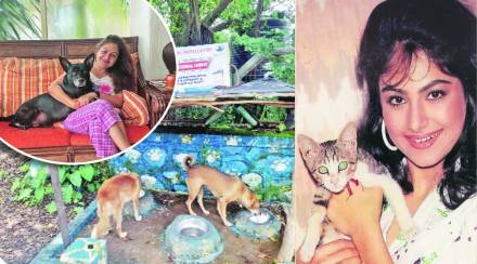 ayesha julka ayesha julka