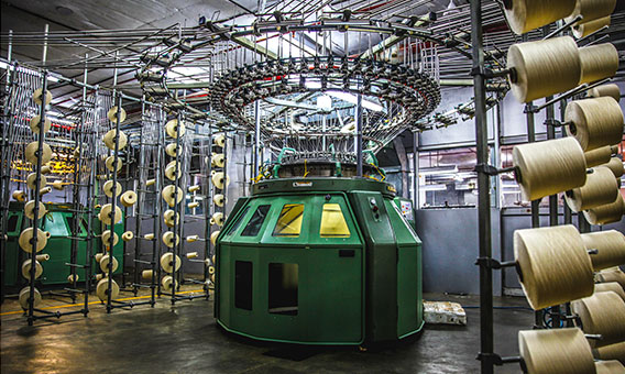 वुडलँडचे हिमाचल प्रदेश आणि उत्तराखंडमध्ये ८ कारखाने आहेत, जे ७० टक्के मागणी पूर्ण करतात. वुडलँड दरवर्षी १,२५० कोटी रुपयांचा बिझनेस करते.