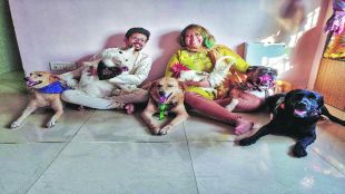 cha8 soyare sahchar animal love