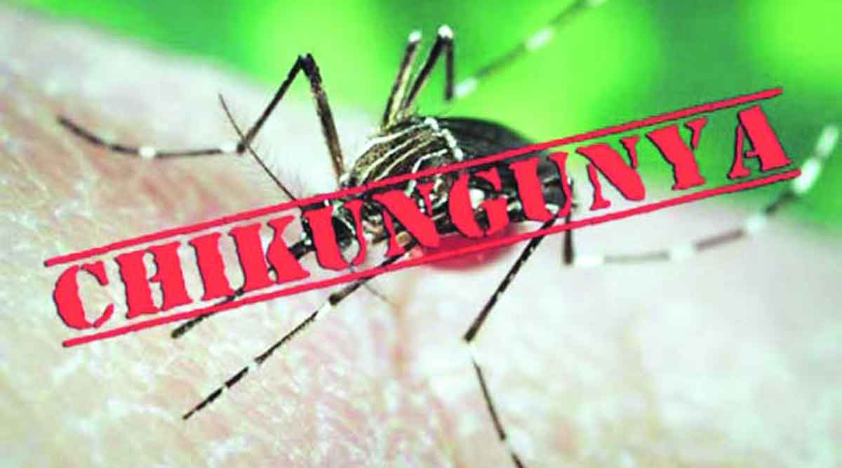 Disease occurring in october and november