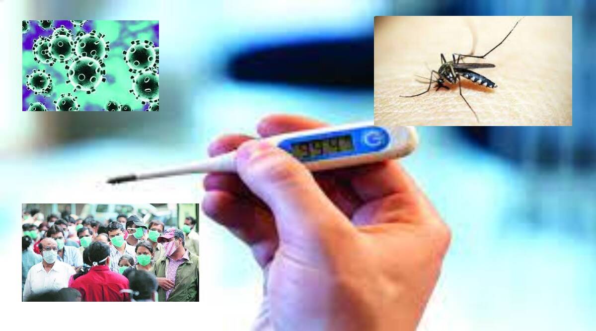 Disease occurring in october and november