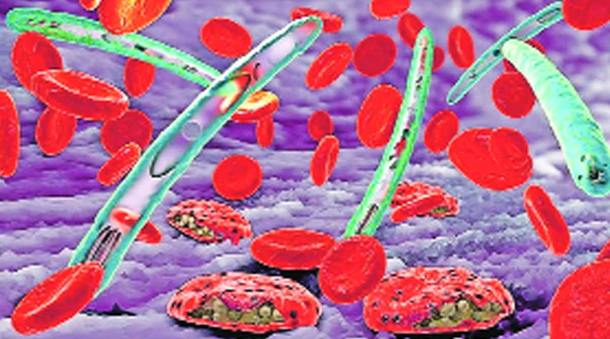 Disease occurring in october and november