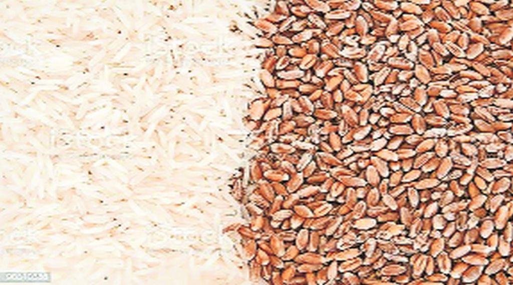 dv rice wheat