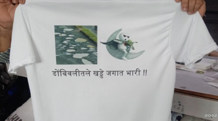 The pits of Dombivli are the best in the world Name t-shirts in the market The pits of Dombivli are the best in the world Name t-shirts in the market