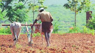farmer