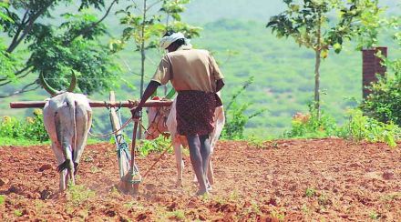 farmer