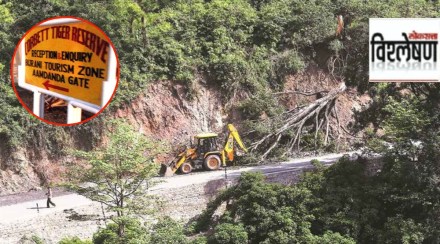 jim corbett tree cutting