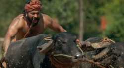 बॉक्स ऑफिसवर धुमाकूळ घालणारा दाक्षिणात्य चित्रपट ‘कांतारा’ लवकरच ओटीटीवर येणार?