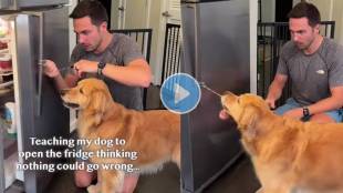 man teaches dog how to open fridge