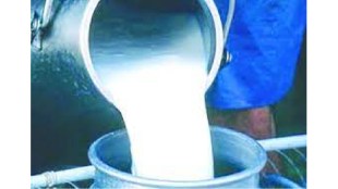 milk