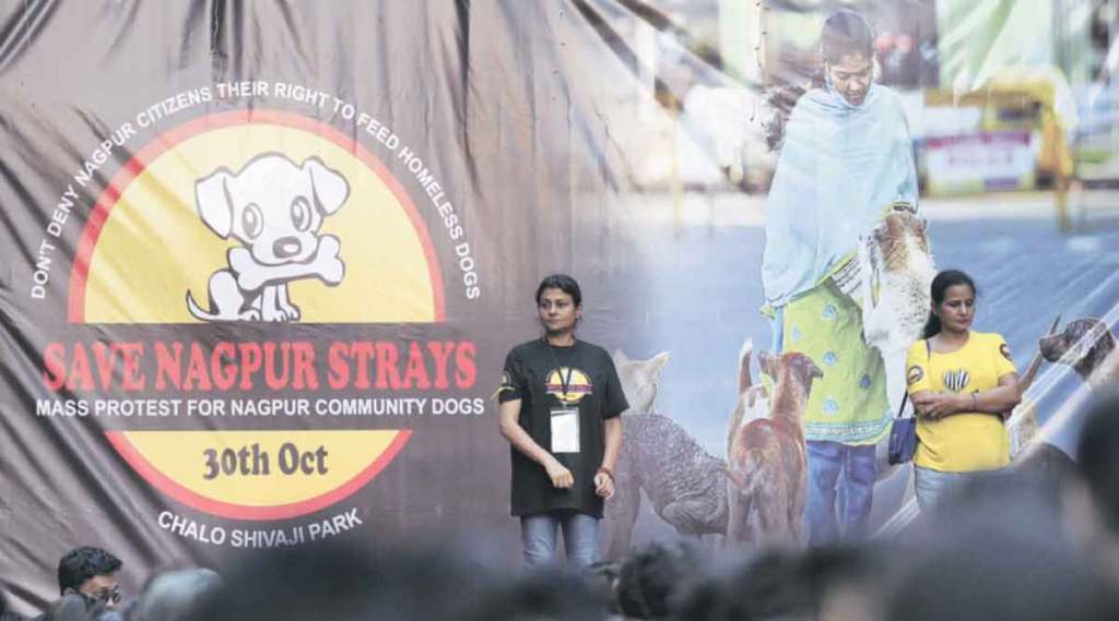  नागपूर खंडपीठाच्या आदेशाविरोधात शांततापूर्ण आंदोलनात विविध प्राणी हक्क स्वयंसेवी संस्था रविवारी शिवाजी पार्क येथे सहभागी झाल्या.