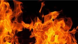 Maharashtra fire