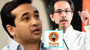 narayan rane and uddhav thackeray