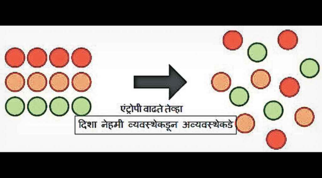 कुतूहल : उत्क्रांती आणि एंट्रोपी