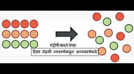 कुतूहल : उत्क्रांती आणि एंट्रोपी